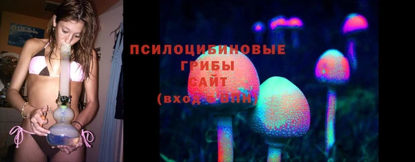 прущие грибы Алзамай