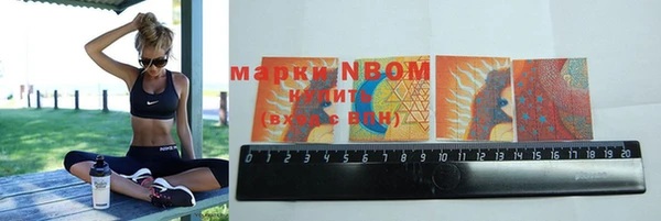 прущие грибы Алзамай