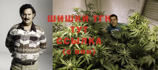 ПСИЛОЦИБИНОВЫЕ ГРИБЫ Алексин