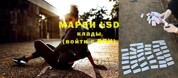 прущие грибы Алзамай