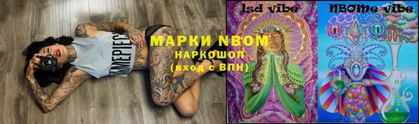 прущие грибы Алзамай