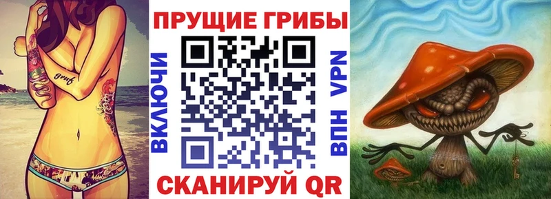 Галлюциногенные грибы мицелий  Карабулак 