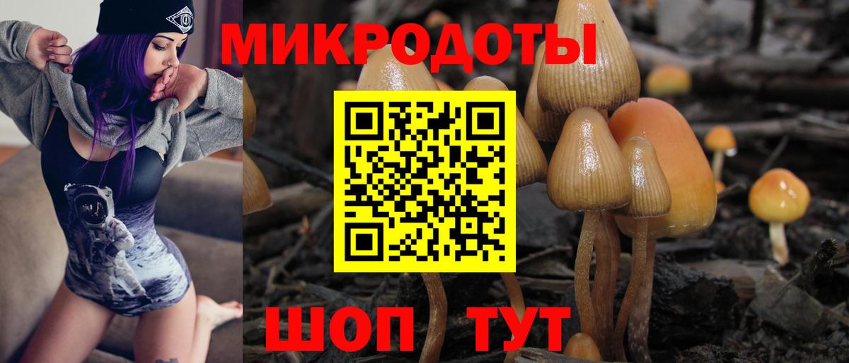 Карабулак  что такое   Вход с VPN  Псилоцибиновые грибы MAGIC MUSHROOMS 